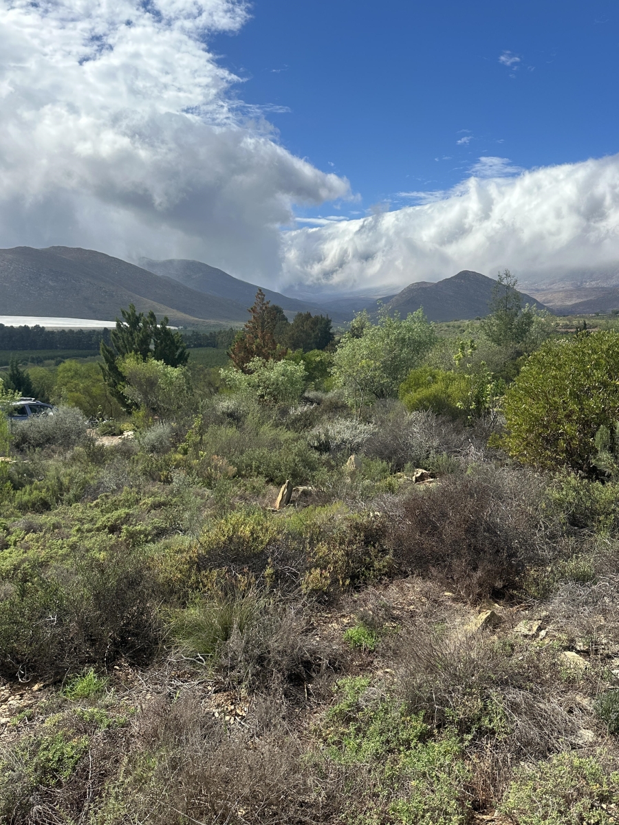 0 Bedroom Property for Sale in Barrydale Western Cape